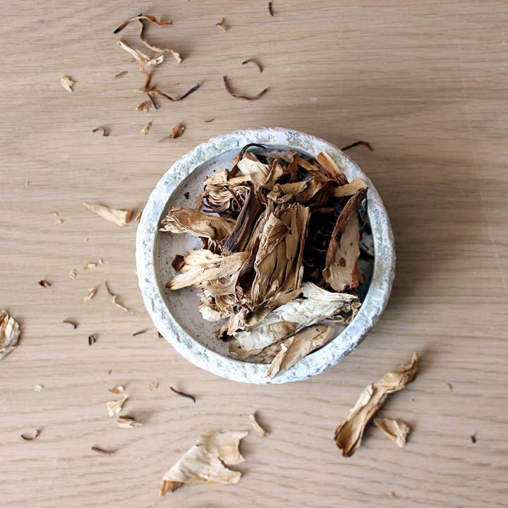 WHITE LOTUS Nymphaea Ampla Petals for Smudging and Tea for wholesale by Ayamani Naturals