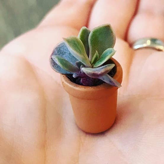 Factory Direct Craft - Wholesale Doll Accessory Kit - Kids - 5/8" Miniature Faux Terra Cotta Clay Look Pots (Pack of 8)4