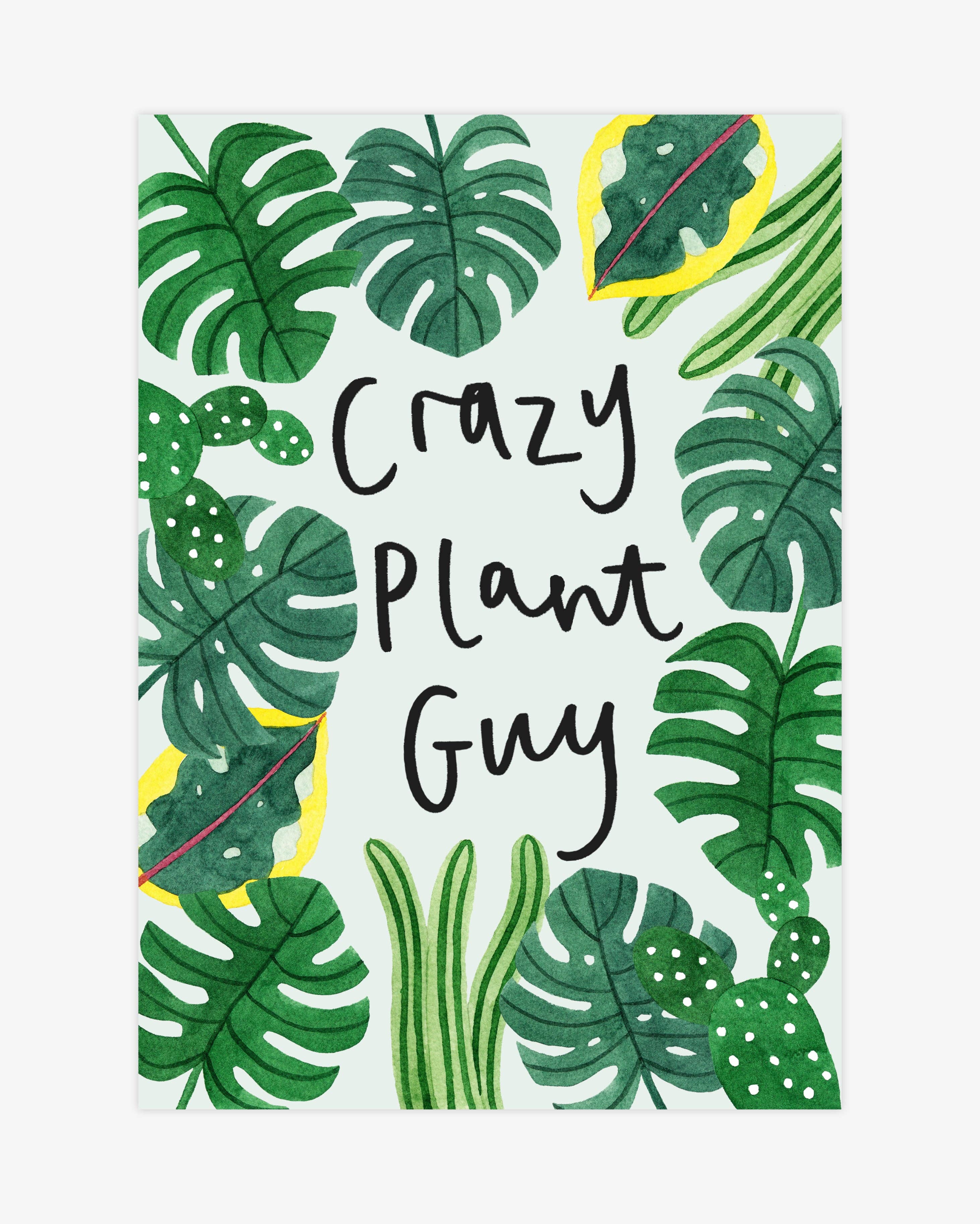 Katrina Sophia - Wholesale Art Print - Crazy Plant Guy A4 Print2