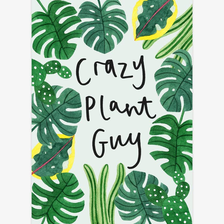 Katrina Sophia - Wholesale Art Print - Crazy Plant Guy A4 Print2