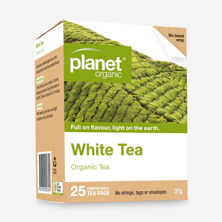 White Tea Tea Bags for wholesale by Planet Organic