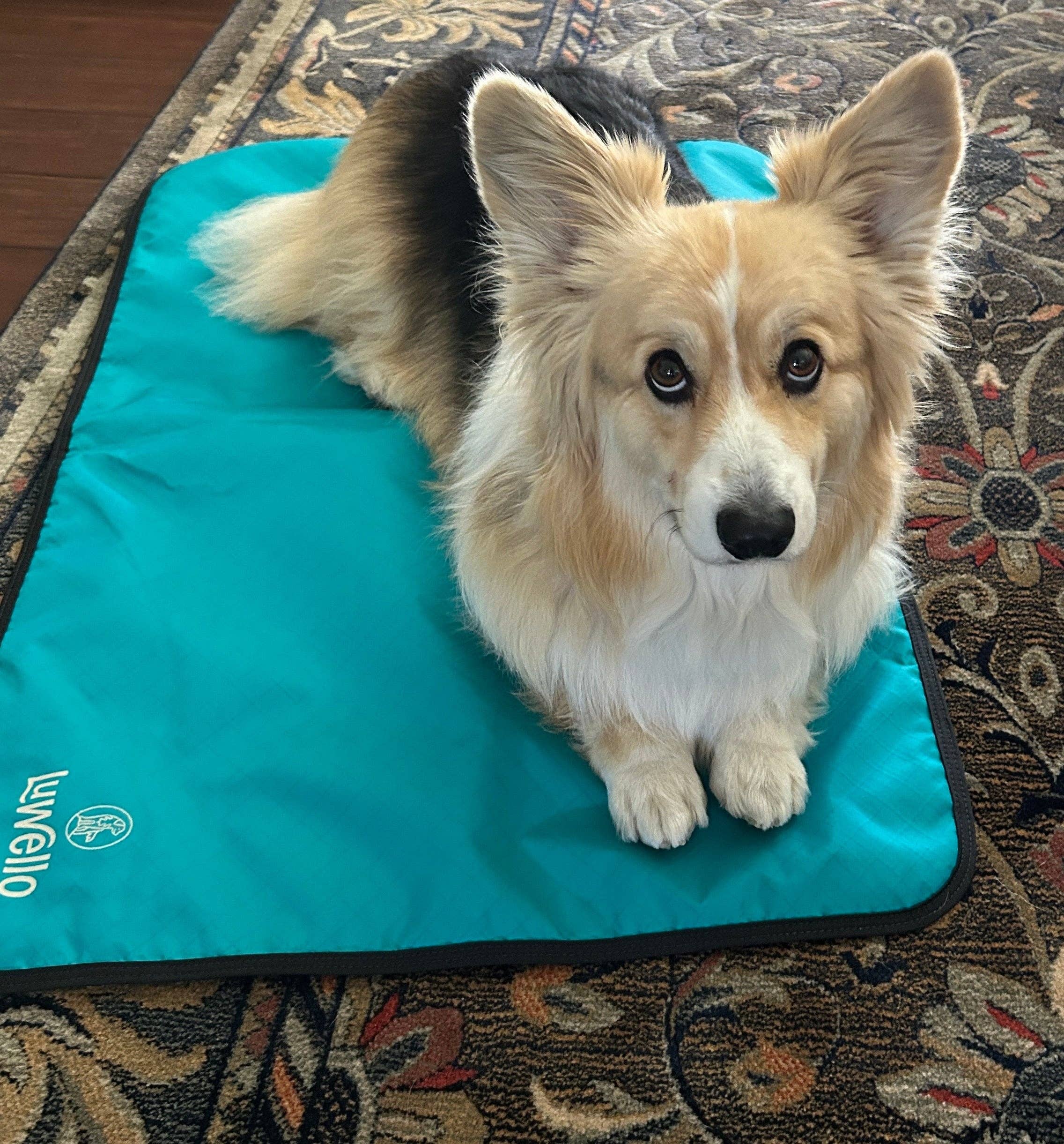 LUWELLO, LLC - Wholesale Pet Bed - Dog - Portable Dog Settle Mat2