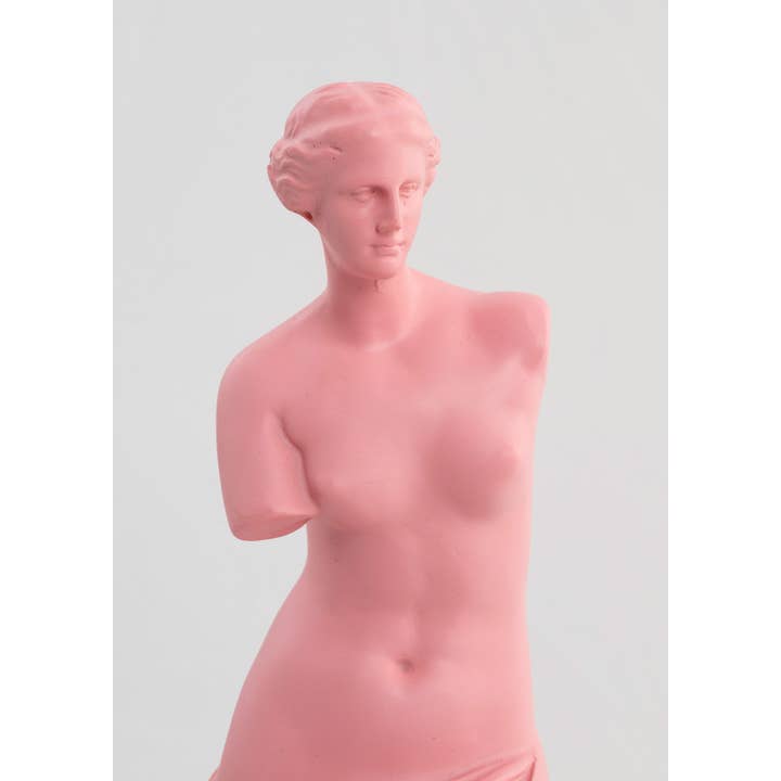Gdeco - Wholesale Sculpture - Venus Rose Resin Sculpture 30Cm4
