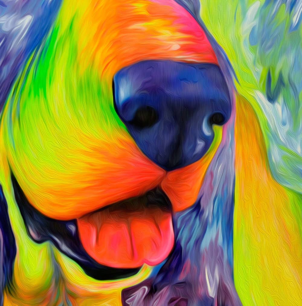 Krystle Cole Fine Art - Wholesale Art Print - Basset Hound Print - Daisy Mable2