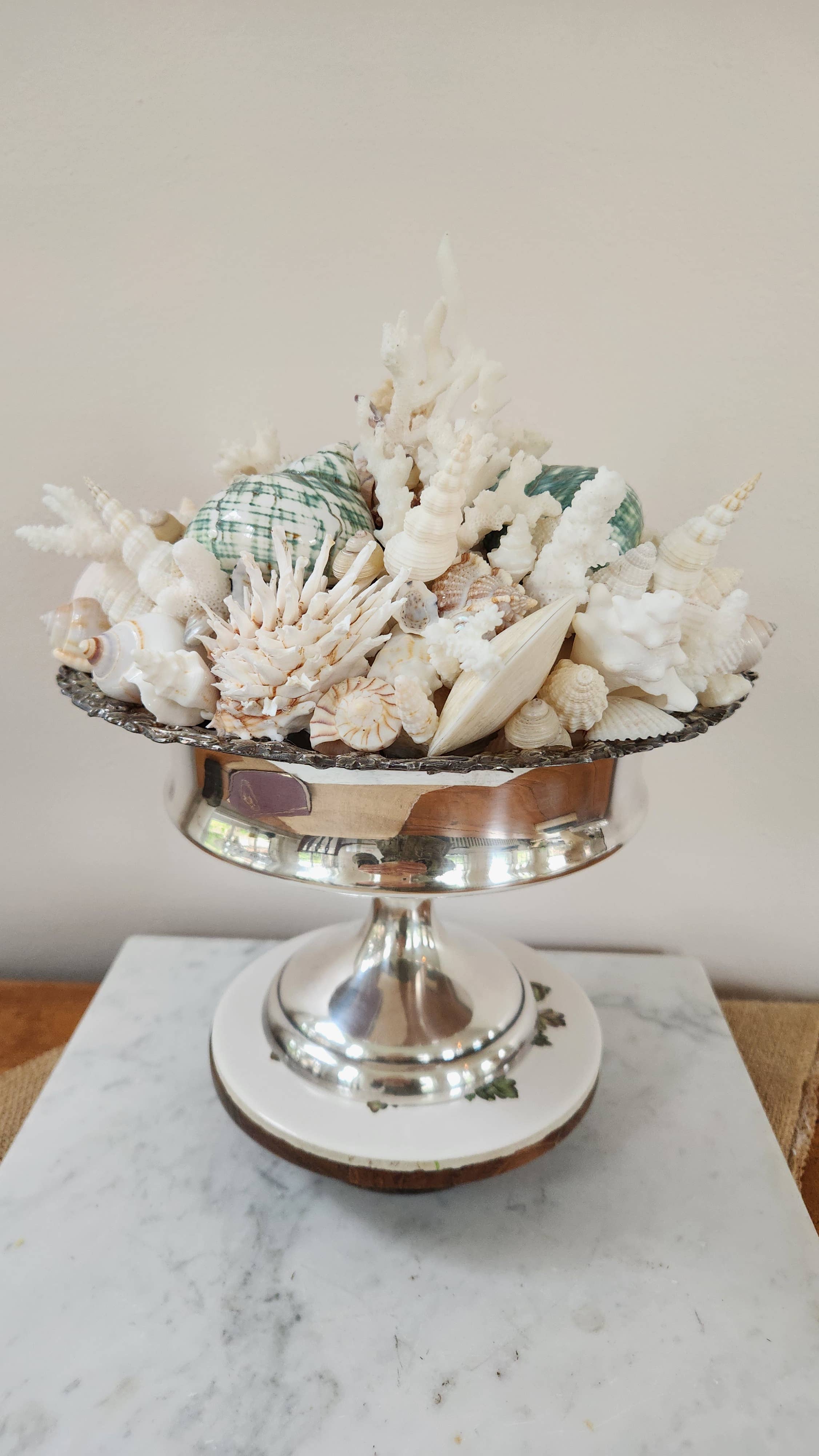 White Tulip Boutique - Wholesale Decorative Tabletop Object - Large Seashell n Coral Centerpiece, Table Top Decor, Topiary5