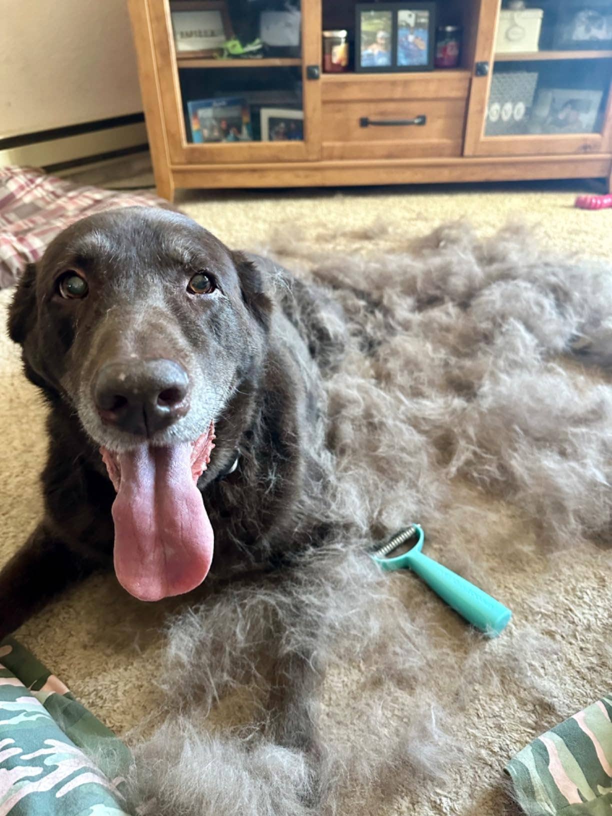 Uproot Clean - Wholesale Pet Grooming Tool - Dog - Uproot Cleaner Deshedder - Retail (6 Unit Case Pack)7