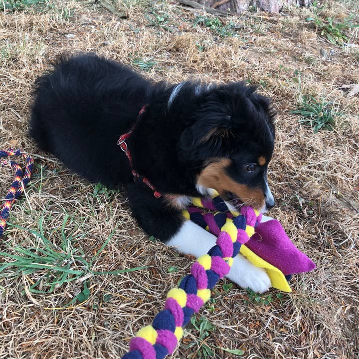 TUGS DE WOUFS EN FOLIE - Wholesale Pet Rope Toy - Dog - Fleece long braid tug for dog1