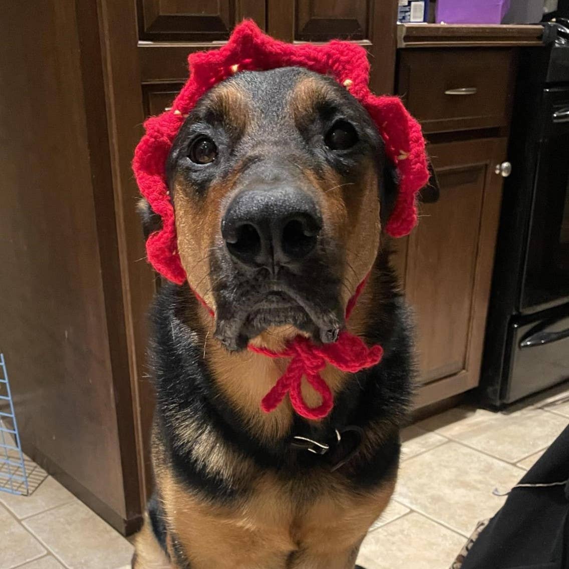 Glitter Ghost Clothing and Accessories – Engroshandel Hundehat - Hund – Hæklet Jordbærhue - Kattehjelm - Pet Hat15