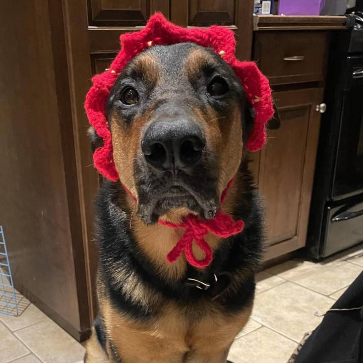 Glitter Ghost Clothing and Accessories – Engroshandel Hundehat - Hund – Hæklet Jordbærhue - Kattehjelm - Pet Hat15