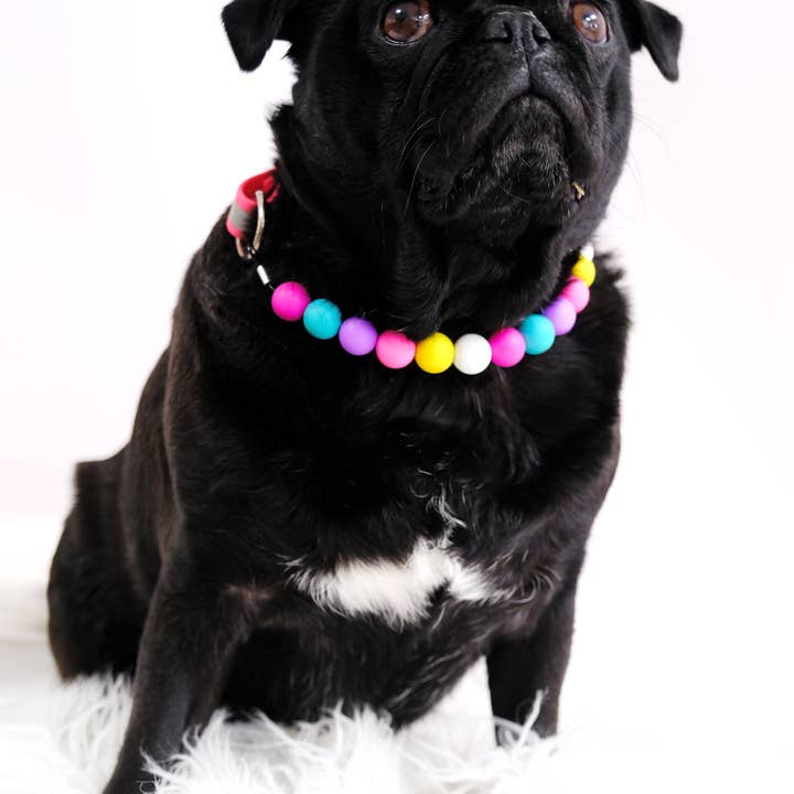 Mimi Green – Großhandel Haustierhalsband – Katze/Hund – Freundschaftsarmband Hundehalsband | Perlenbesetztes Hundehalsband3