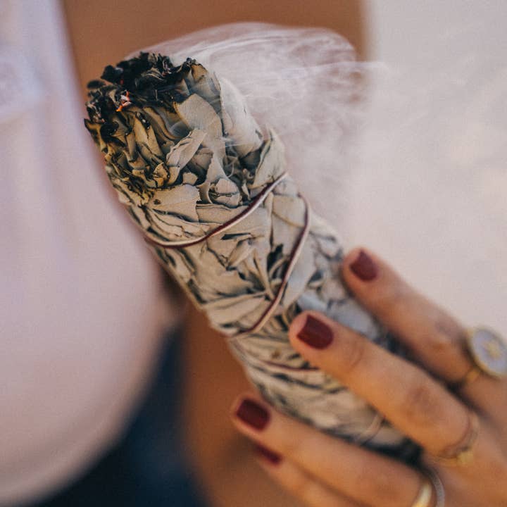 BASTONCINO DI SALVIA BIANCA DELLA CALIFORNIA per la vendita all'ingrosso da parte di LA CHANVRÉ PARIS