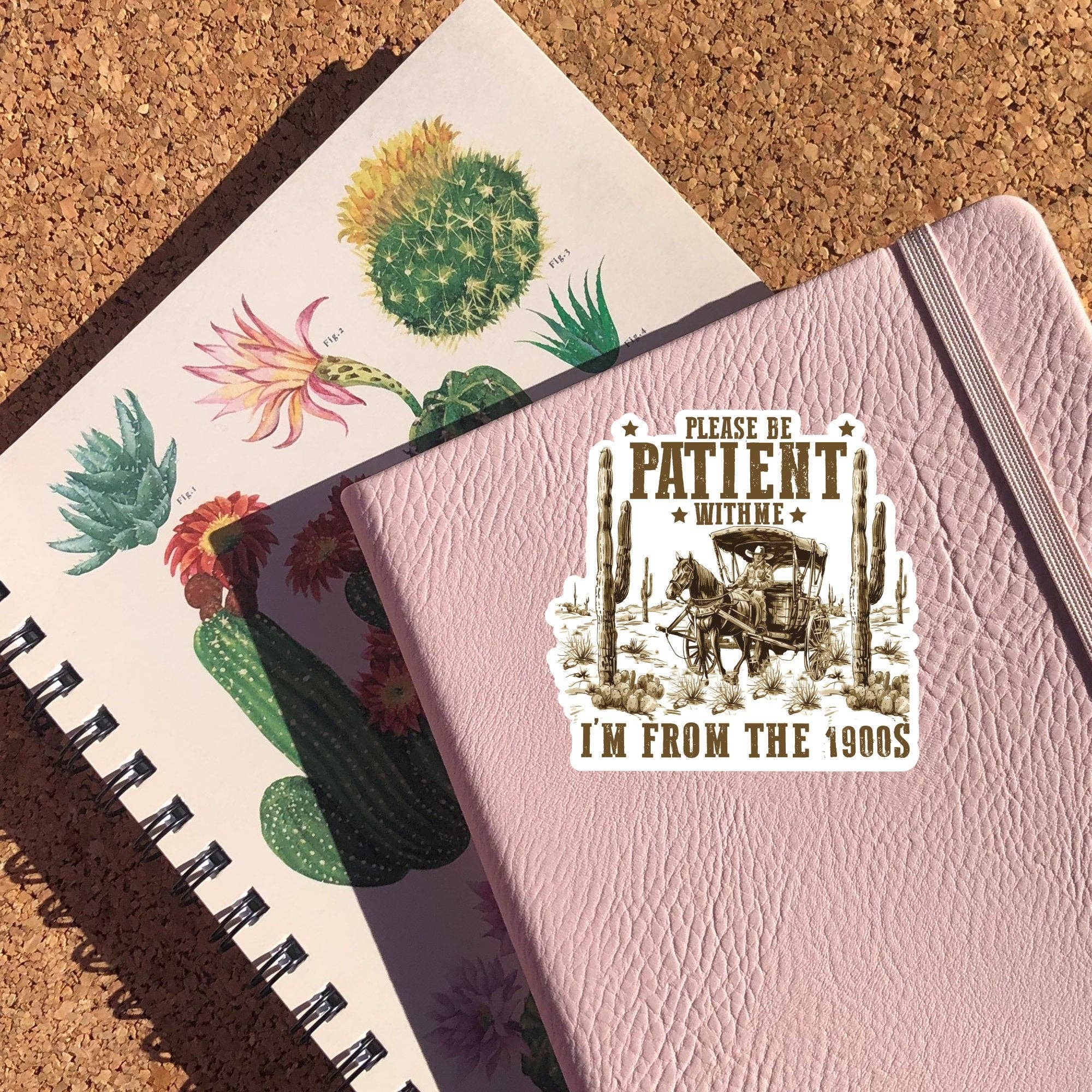 Sticker Horse - Wholesale Sticker - Please Be Patient With Me I'm From The 1900's2