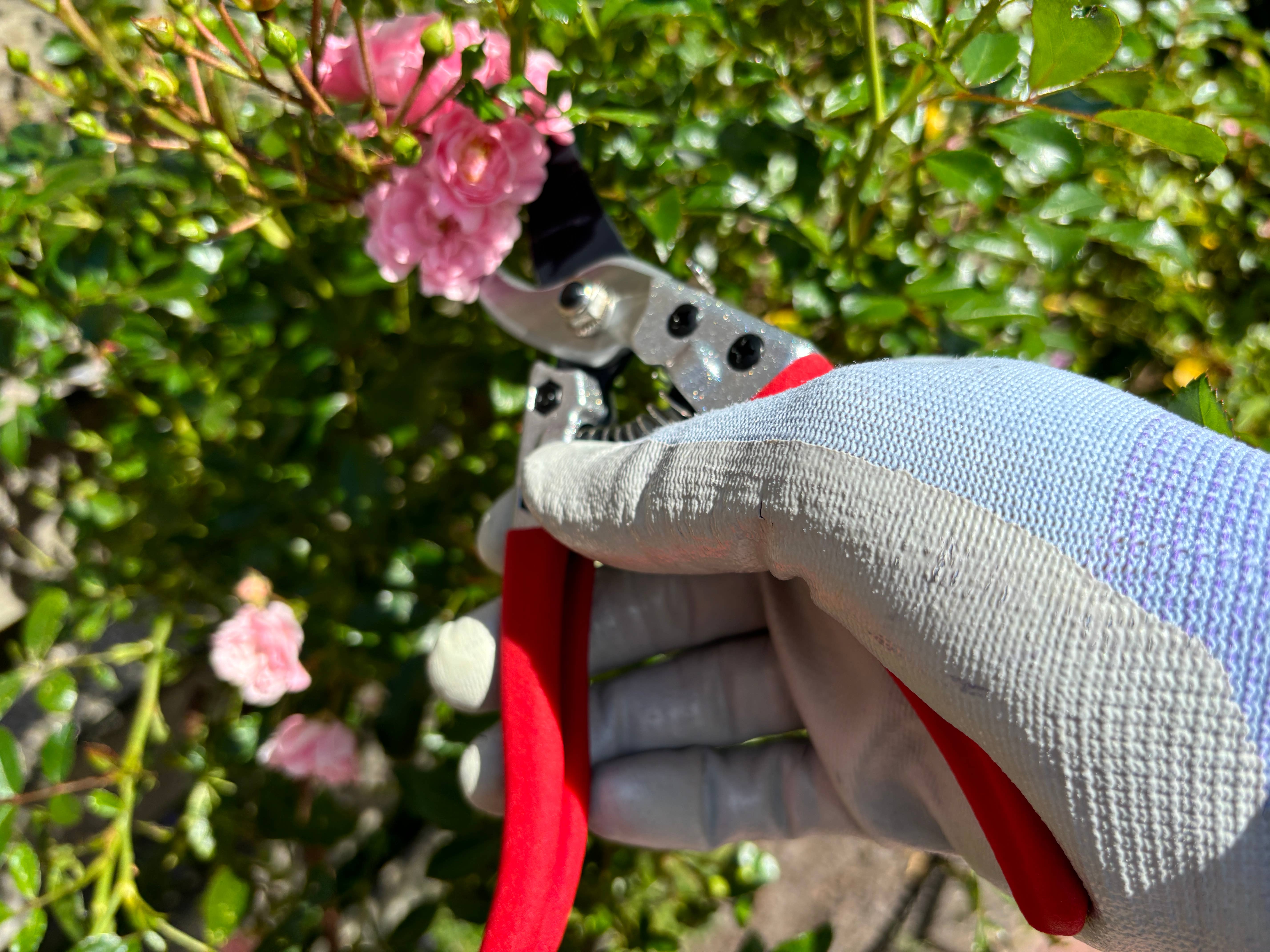 Gärtnertraum – wholesale Trädgårdsverktyg – Grensax - Sekatör14