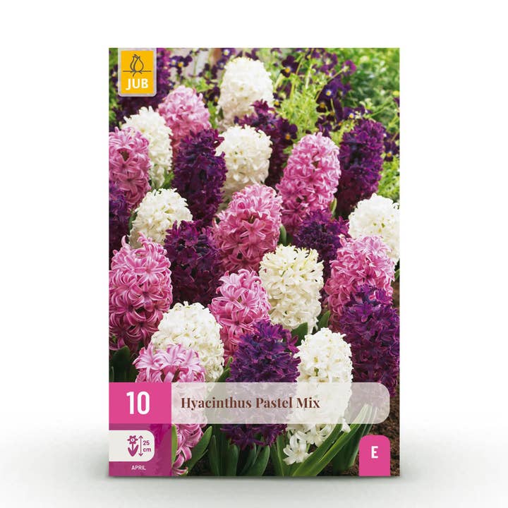 Oasis of Life – wholesale Live plant – Hyacinth Bulbs Pastel Mix – 10 Bulbs – Fragrant Hyacinths in Pastel Colors – For Beds, Balcony & Terrace1