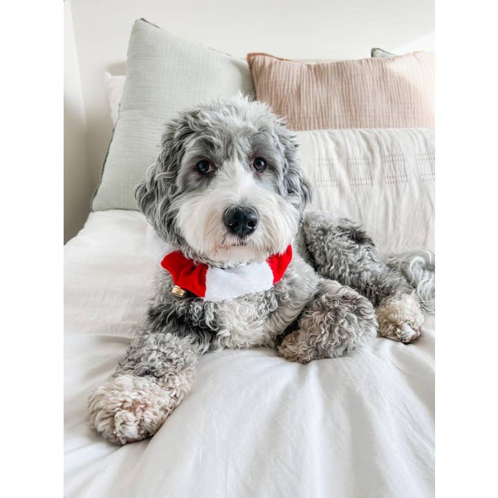 Midlee Designs - Wholesale Pet Collar - Cat/Dog - Midlee White/Red Christmas Plush Bell Collar1