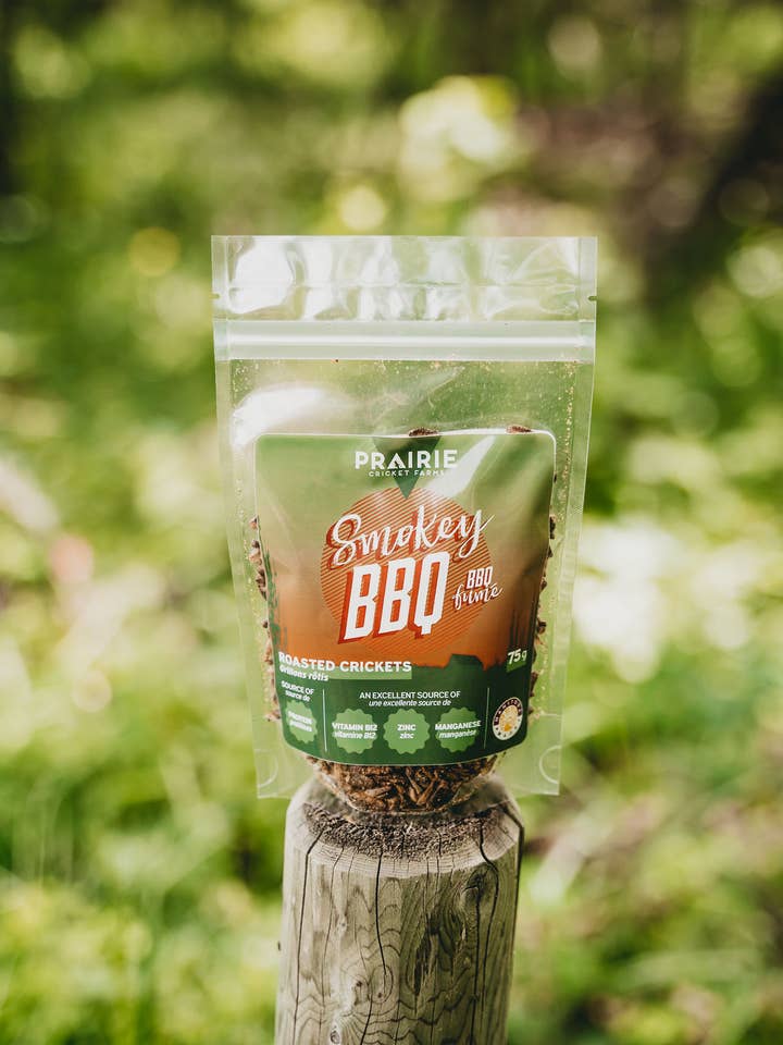 Grillons rôtis au barbecue pour la vente par Prairie Cricket Farms