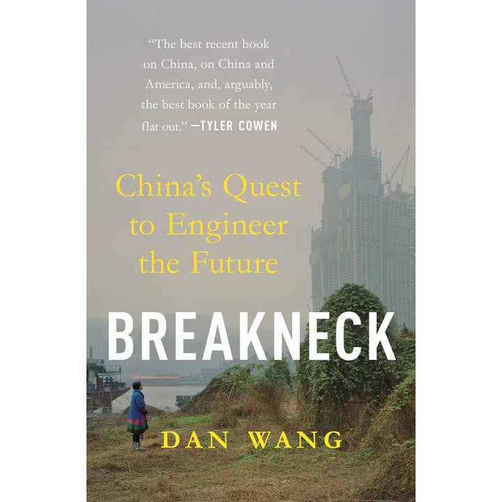 Breakneck: China's Quest to Engineer the Future for wholesale by W. W. Norton