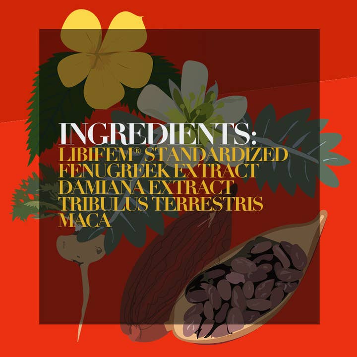 The Functional Chocolate Company - Wholesale Oral Supplement/Vitamin - Brainy Chocolate - Focus Formula - Zesty Orange