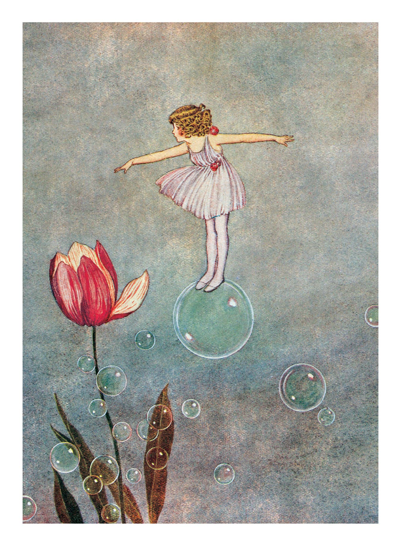 Laughing Elephant - Wholesale Everyday Greeting Card - Enchanting Fairies - Everyday Boxed Cards2