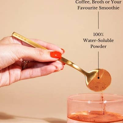 Cogumelo Chaga por atacado de Teelixir