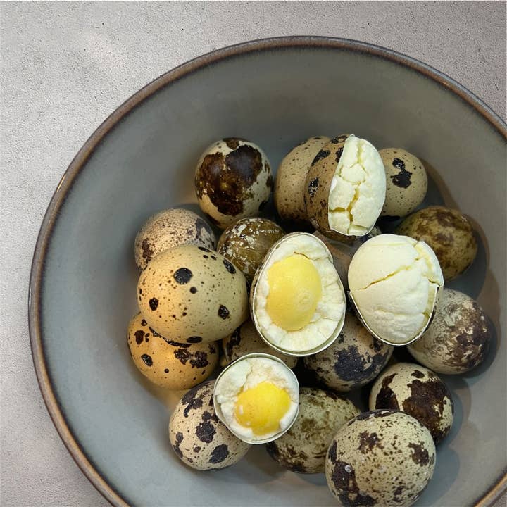 Wild West Raw - Wholesale Pet Treats - Dog - Whole Quail Eggs Freeze Dried (15 egg carton)