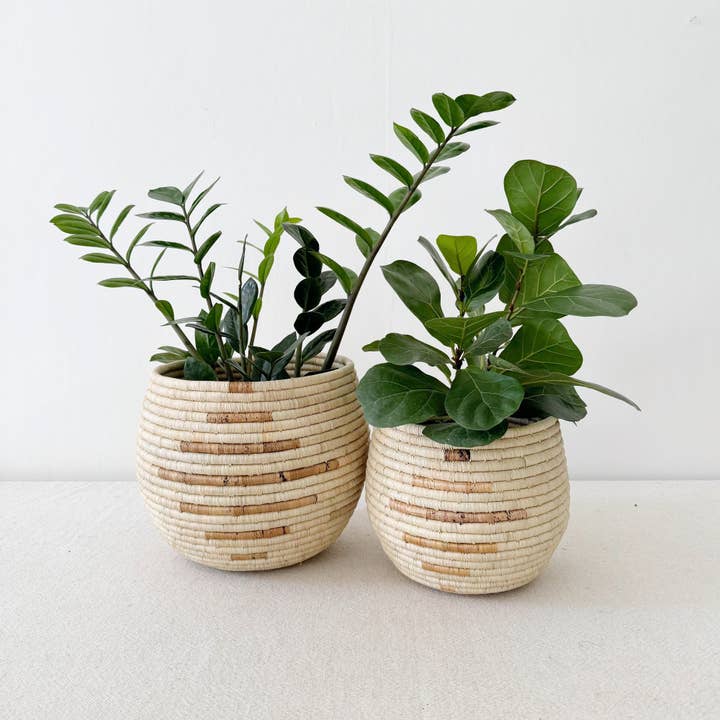 Amsha - Wholesale Basket - Honey Pot Basket: Mareba