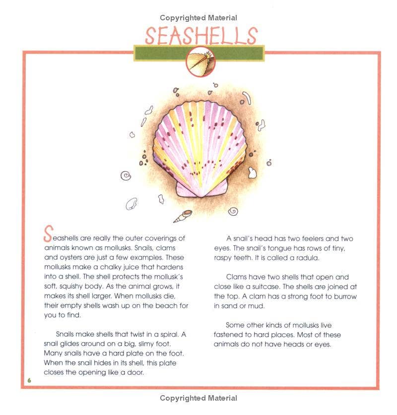 REMOVED BRAND - Wholesale Nature & Outdoors - Seashells, Crabs and Sea Stars: A Take-Along Guide3