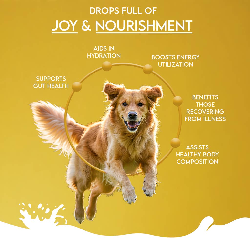 Pawfect Foods – wholesale Pet supplement – Dog – Pawfect Nature's Sip 100% Natural Camel Milk Powder for Dogs & Puppies| Easily Digestible| Source of Vitamins, Minerals, Probiotics| Healthy Topper| Hydration Support4