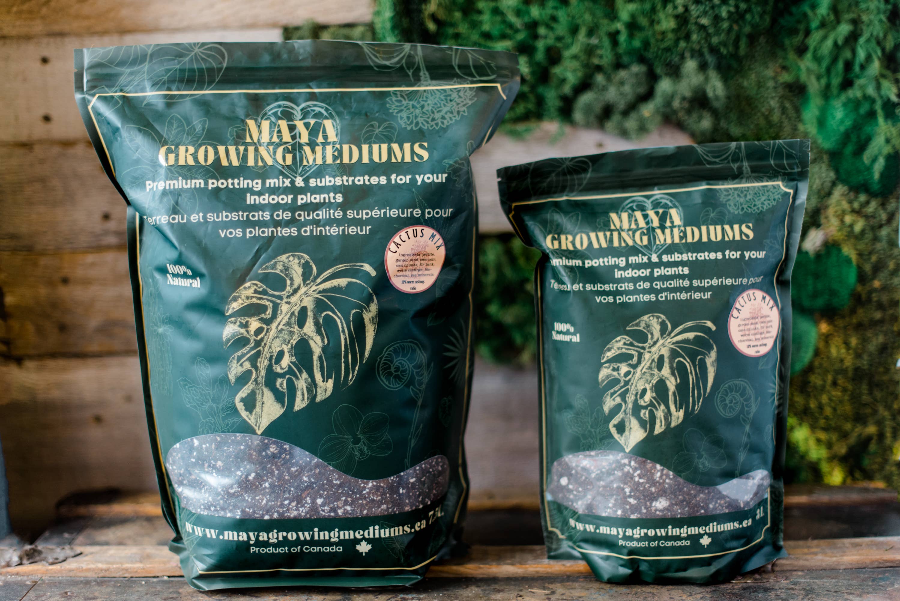 MAYA GROWING MEDIUMS - Wholesale Planting/Potting Soil - Cactus blend-Potting soil for indoor plants6