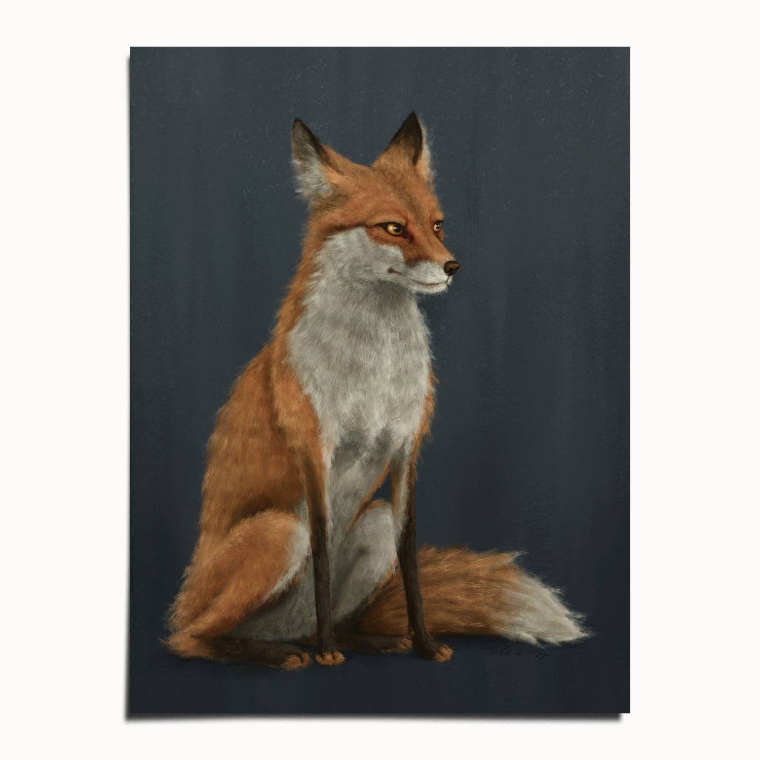 The Ugly Cat Studio - Wholesale Art Print - Red Fox Fine Art Print - Blue Edition3