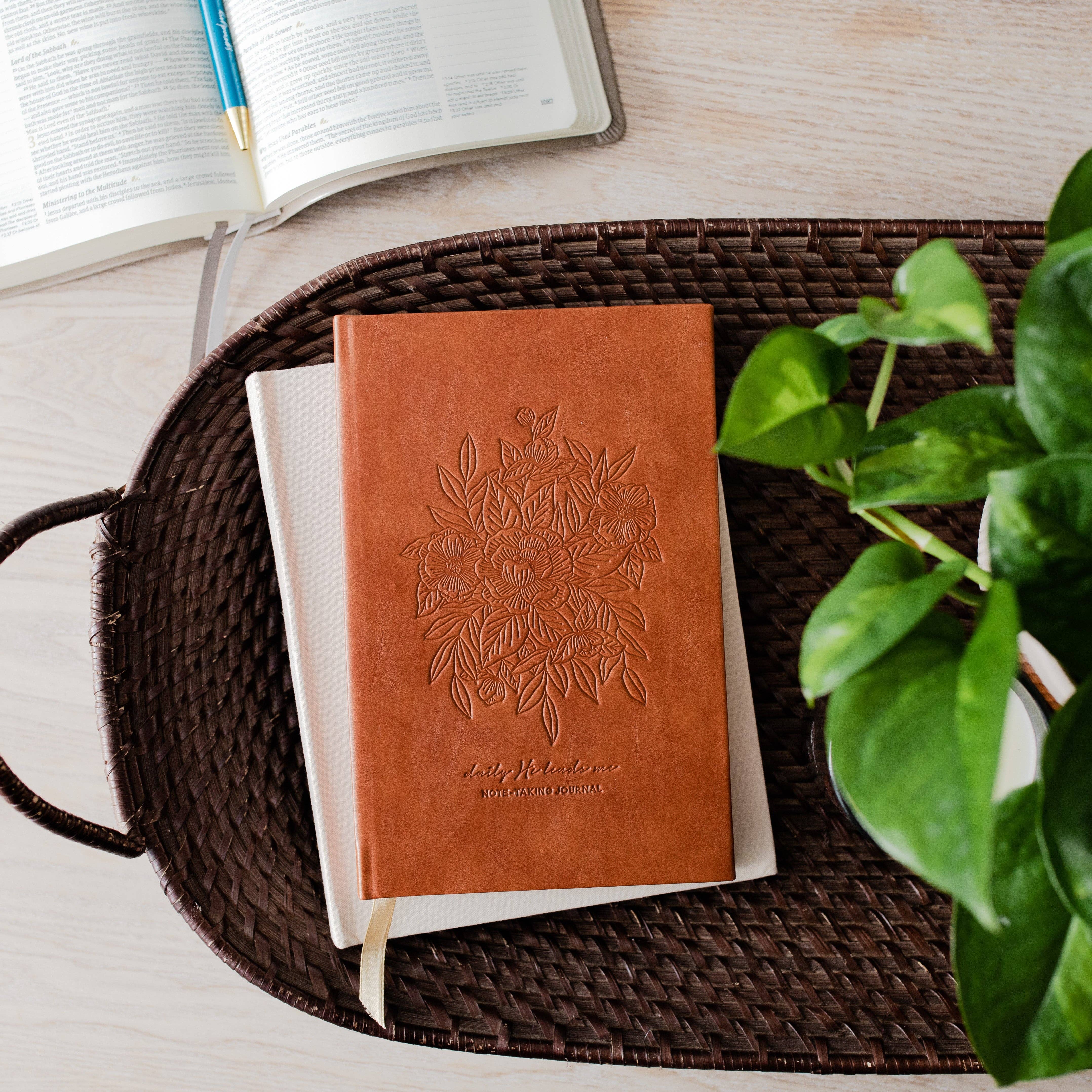 The Daily Grace Co - Wholesale Journal/Diary - Daily Journal | He Leads Me