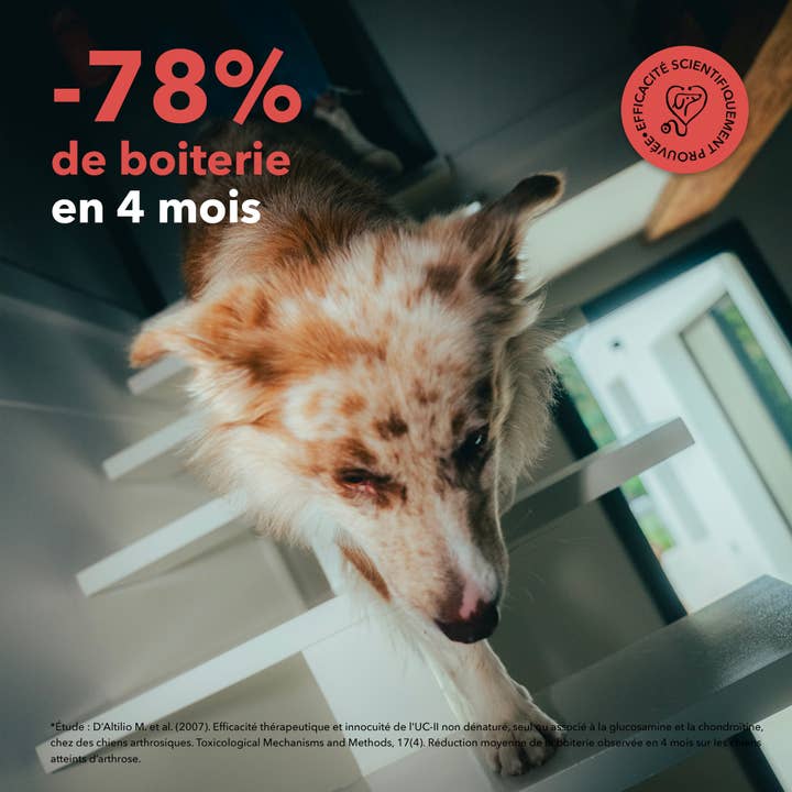 Delamour - Wholesale Pet Supplement - Dog - Les Bouchées - 90 chews to support Joints (270g)7