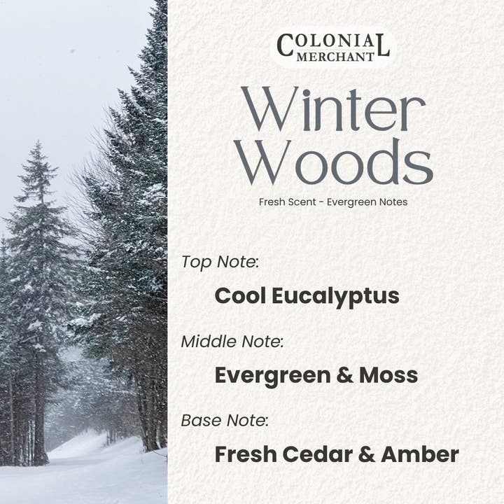 Colonial Merchant - Wholesale Hand Soap/Wash - 12 oz. HOLIDAY Foaming Hand Soap - Christmas Assortment Pack3