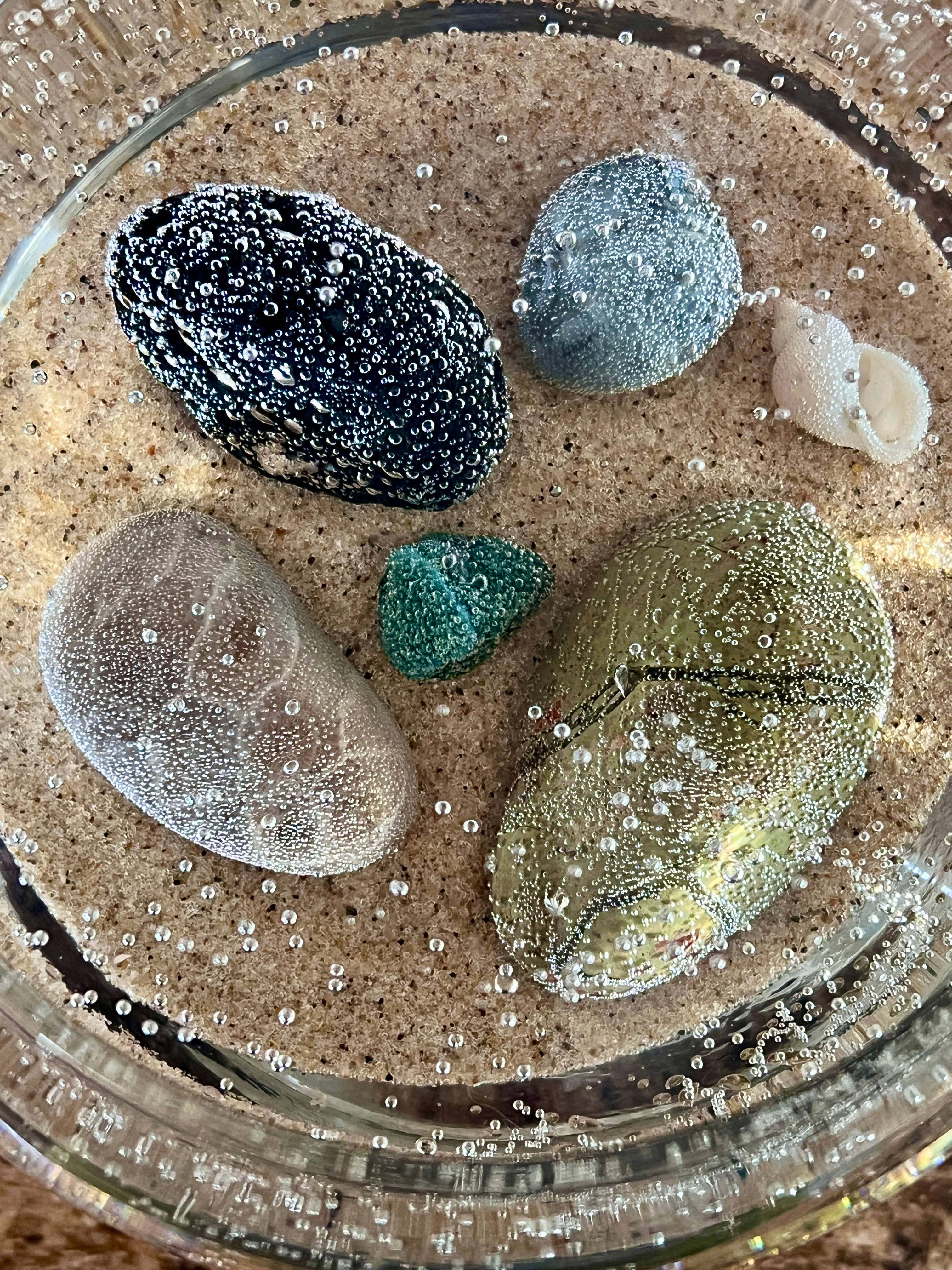 Rock Bottom Candle Company – Engroshandel Glaslys – Cedar Pine Petoskey Stone Fishbowl Rock Lys, 16oz4