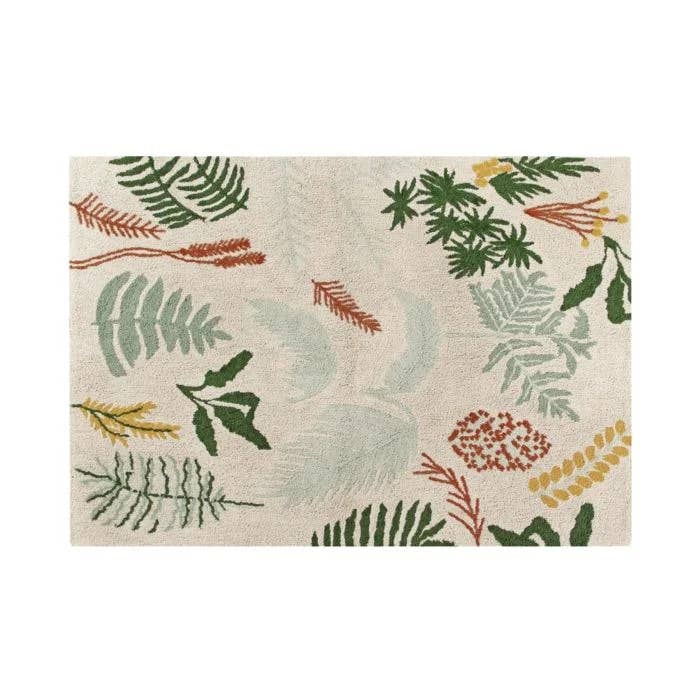 Botanic Plants for wholesale by Lorena Canals