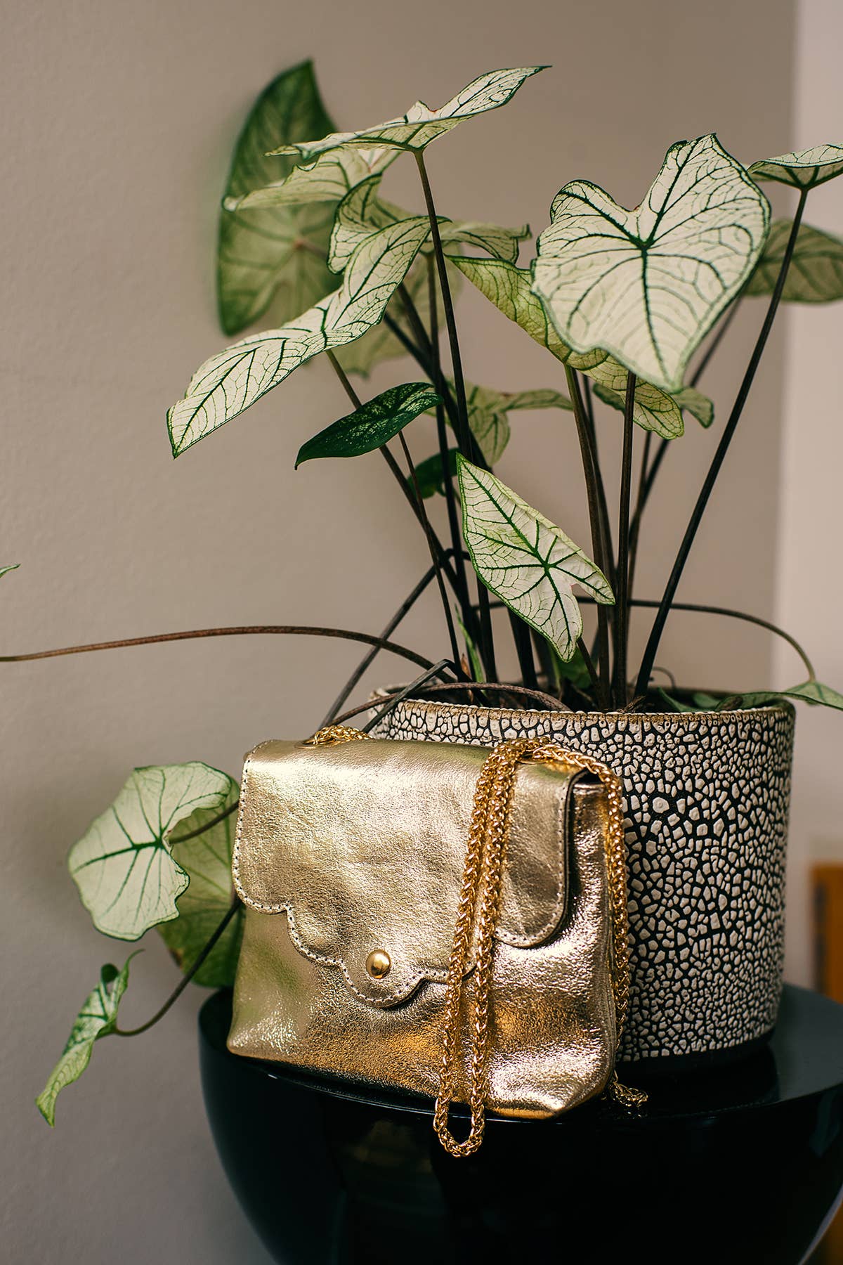 Cherry Paris - Wholesale Crossbody Bag - Women's - MINI PIA METAL Bag - 3973B5