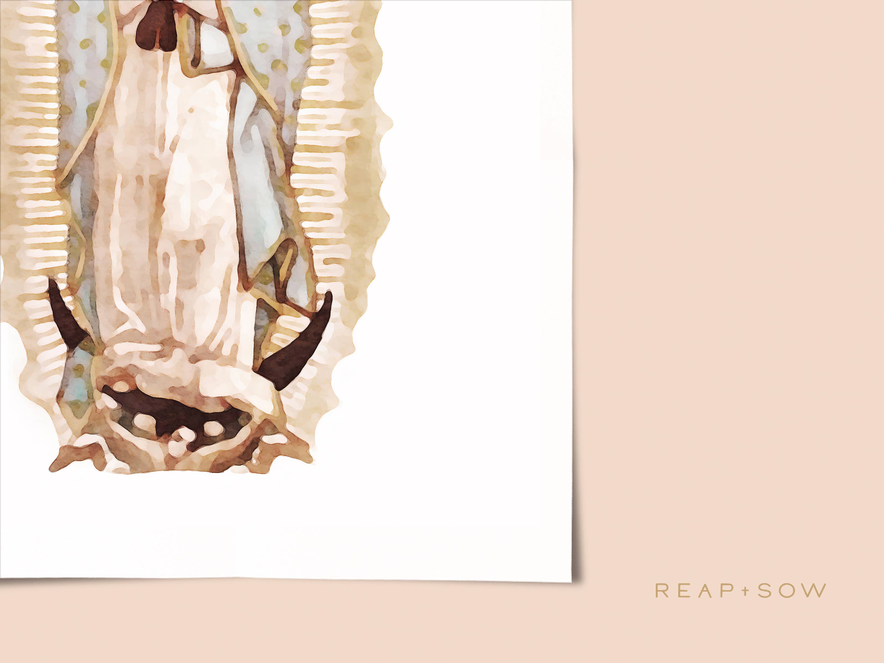 Reap+Sow - Wholesale Art Print - Our Lady of Guadalupe Watercolor Art Print1