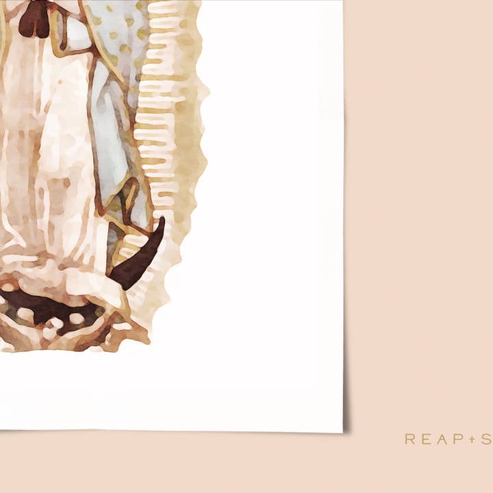 Reap+Sow – wholesale Konsttryck – Vår Fru av Guadalupe Akvarell Konsttryck1