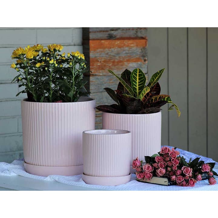 Pacific Home & Garden - Wholesale Plant Pot - Fluted Cylinder Planter, Pastel Baby Pink, 5.0"X5.5"1