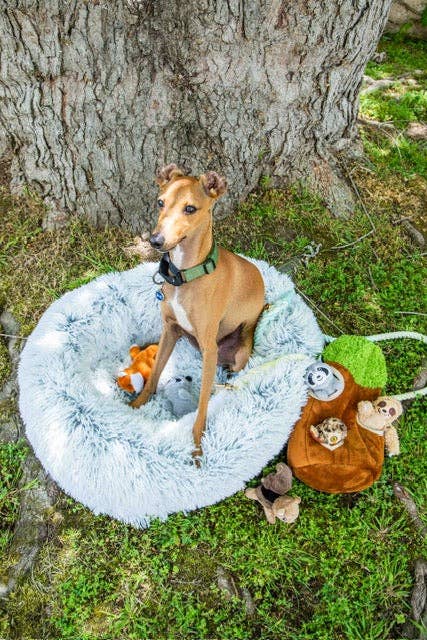 Glow Pups – wholesale Pet bed – Dog – Calming Faux Fur Dog Bed with Memory Foam Bolster3