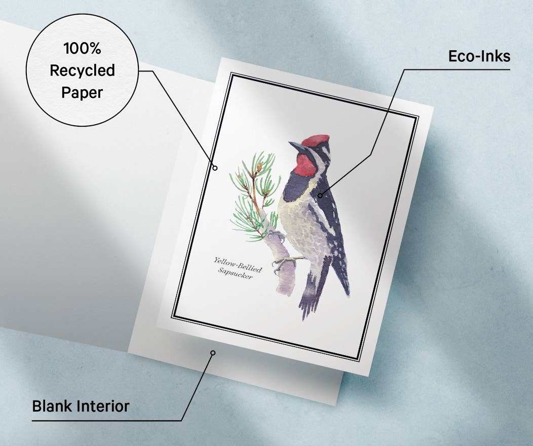 Twigs Paper - Wholesale Stationery/Notecard Set - Birds Greeting Card Set | Assorted Notecards5