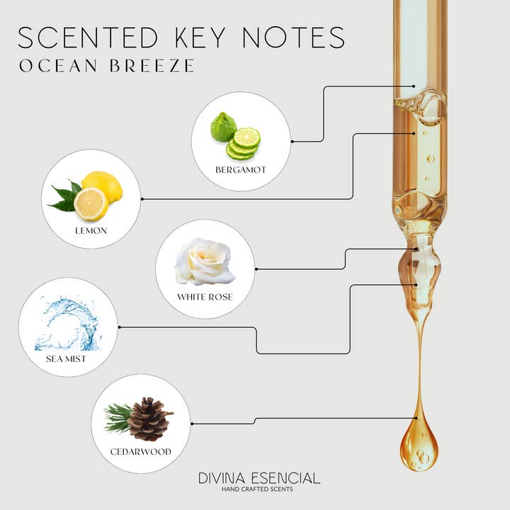 Ryd Ocean Breeze Reed Diffuser for engroshandel på Faire