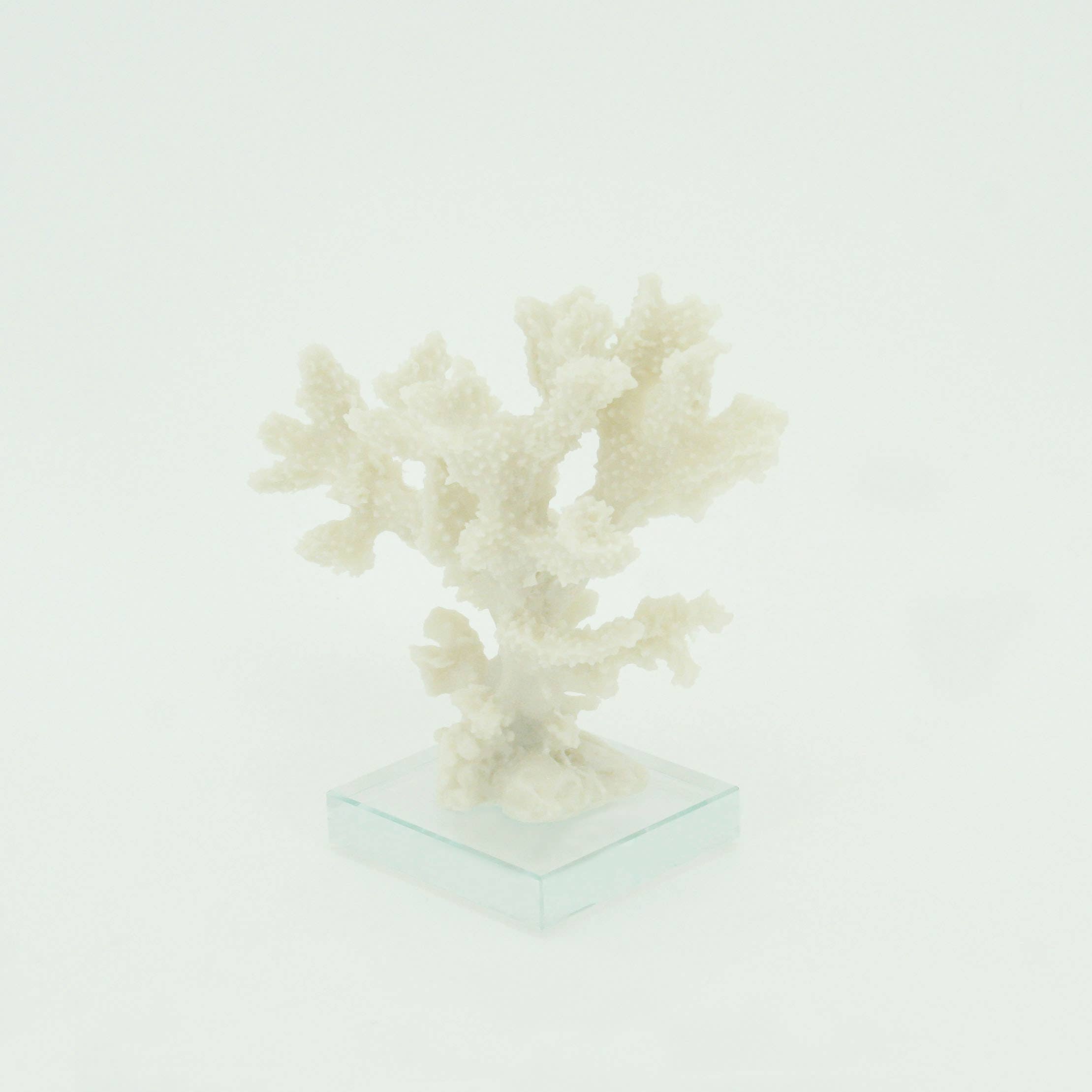 Modern Coastal by Contrast Inc. - Wholesale Decorative Tabletop Object - Staghorn Coral on Base2