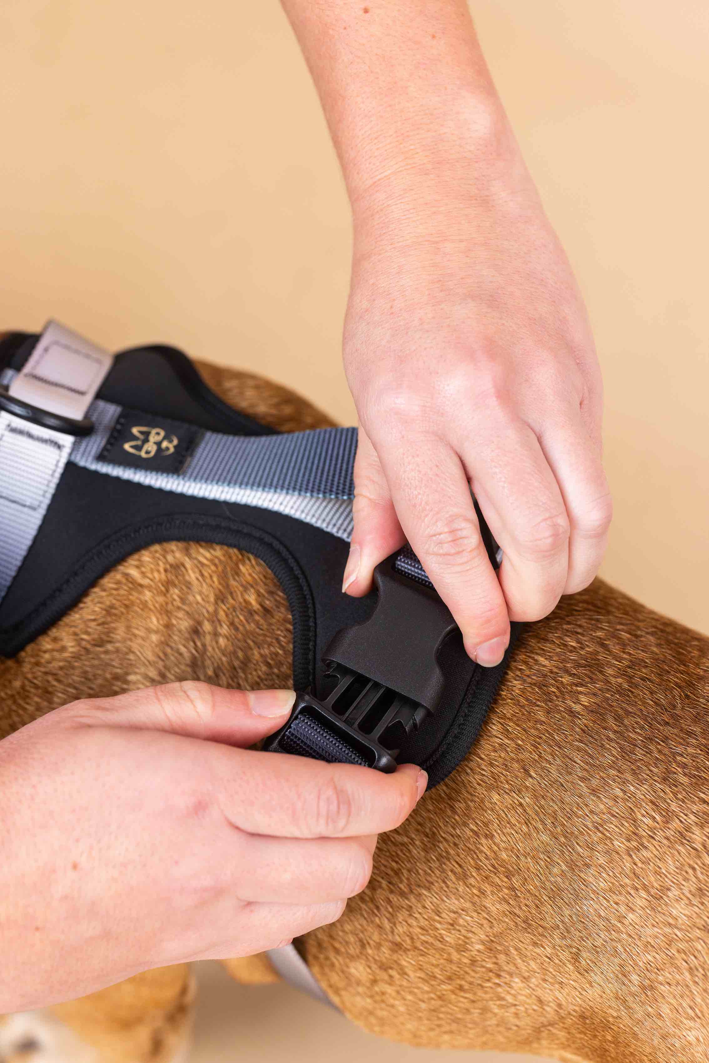 Pink Papyrus | Premium, Durable, & Stylish Dog Products - Venta al por mayor Arnés - Perros - Arnés para Perros Rowan | Arnés Antitirones para Perros | Arnés Negro para Perros8