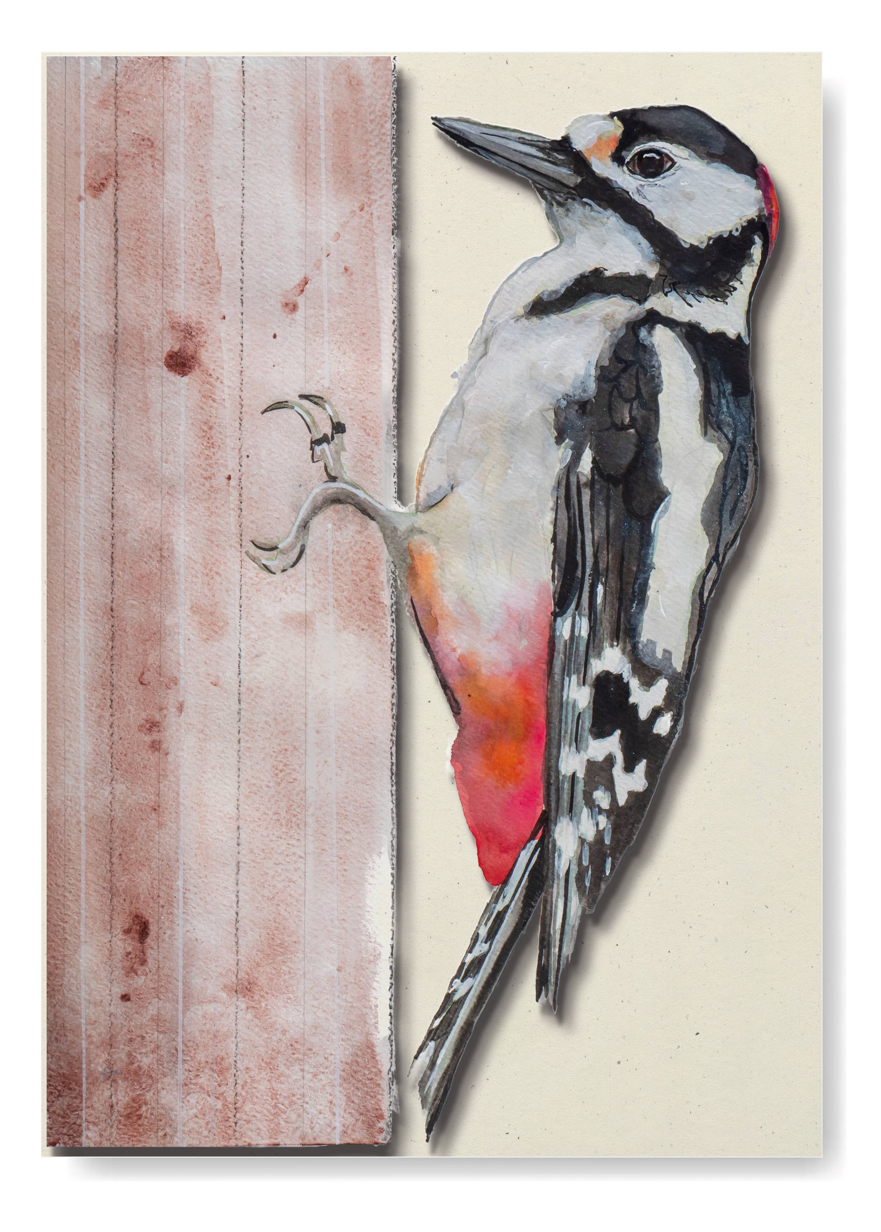 Studio Angelart - Wholesale Stationery/Notecard Set - Bird Greeting Cards Set - 12 pieces7