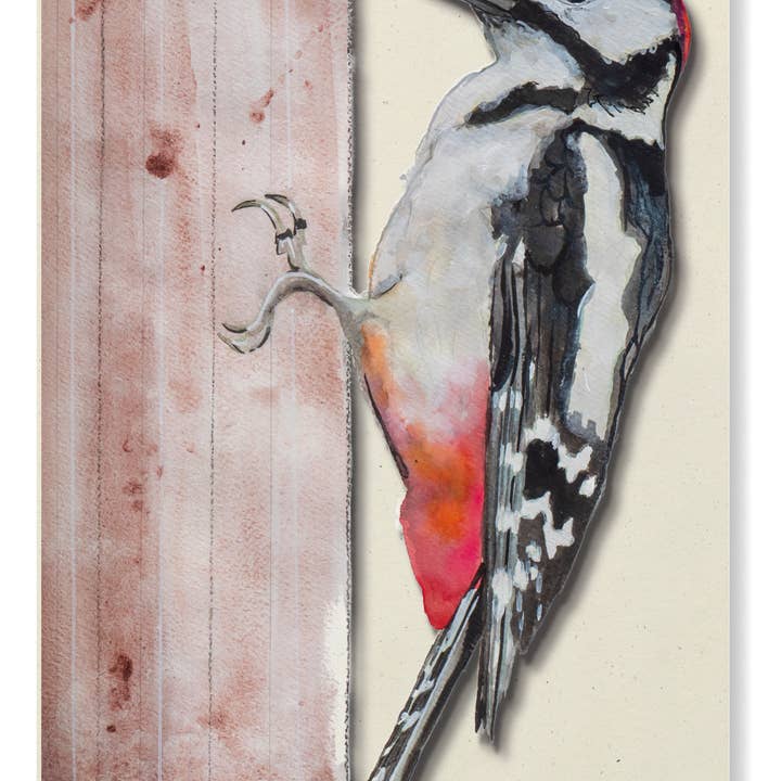 Studio Angelart - Wholesale Stationery/Notecard Set - Bird Greeting Cards Set - 12 pieces7