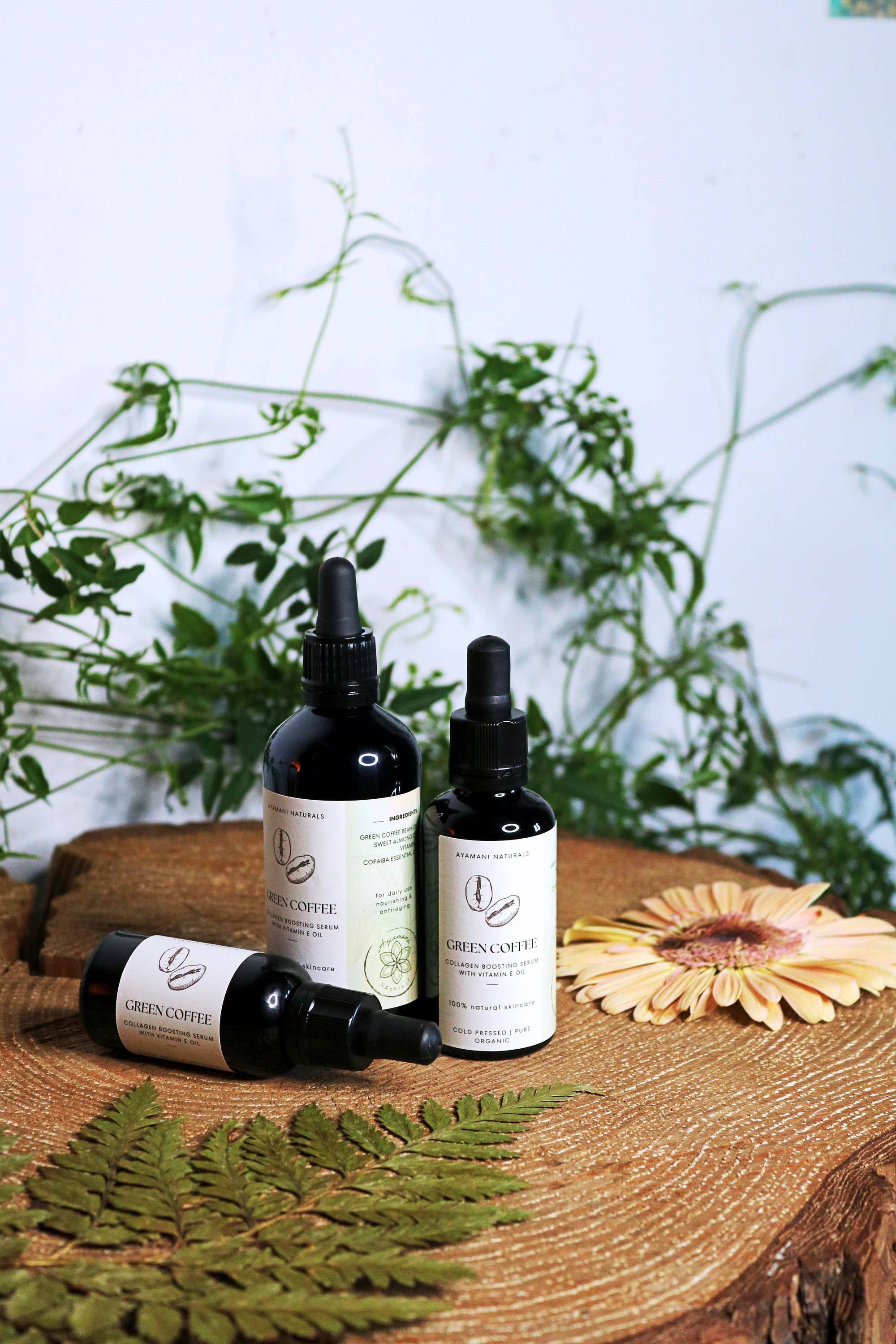 Ayamani Naturals - Wholesale Facial Serum/Concentrate - Green Coffee Collagen Boosting Anti Aging Serum with Copaiba, Natural Skincare Oil5