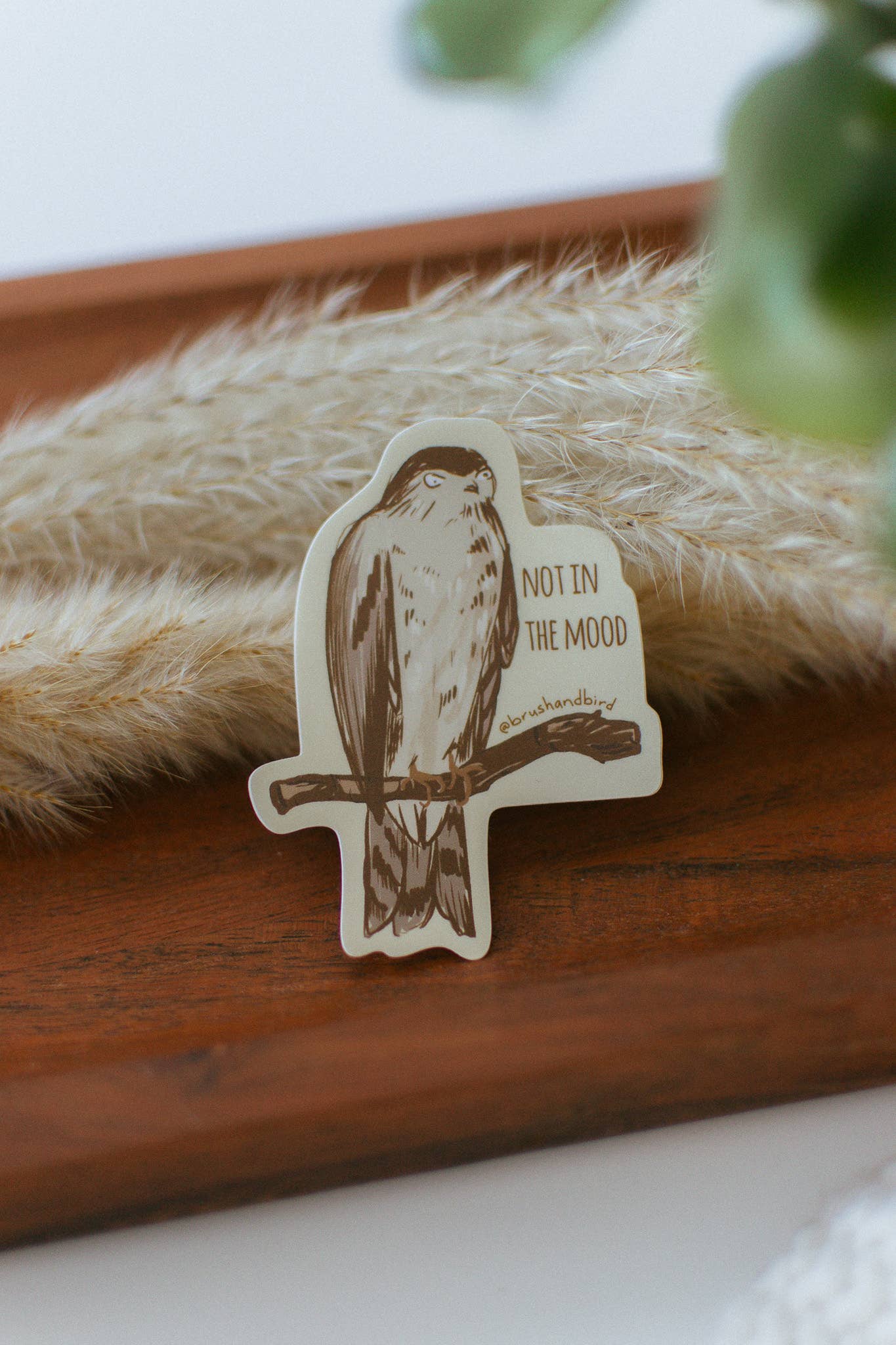 Brush & Bird Paper Co. - Wholesale Sticker - Grumpy Hawk Vinyl Sticker | "Not in the Mood" Birding Gift2