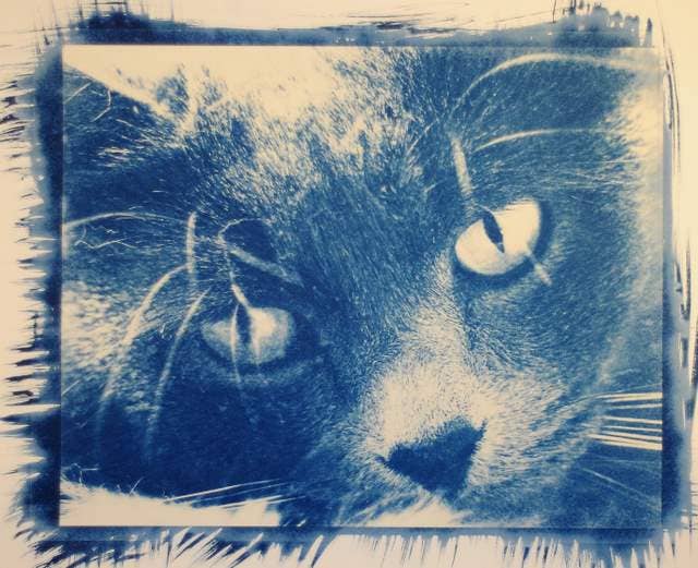 Jacquard Products - Wholesale DIY Craft Kit - Cyanotype Set4