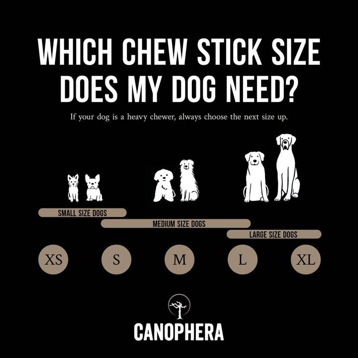 CANOPHERA LLC - Wholesale Pet Chew Toy - Dog - Wooden Sales Display Filled With 53 Sheep Horn Dog Chews.